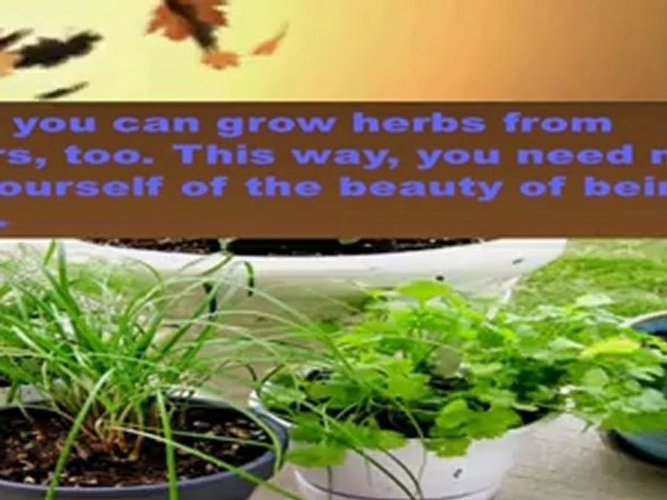 Fresh Herb Gardening