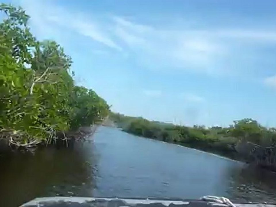 Les Everglades en Airboat