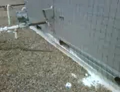 Finishing the Bird Control Netting