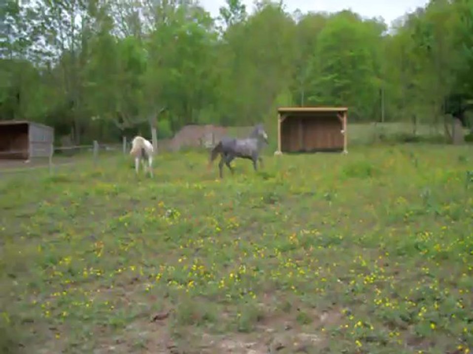ufana et april