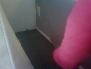 Get Rid of Bed Bugs