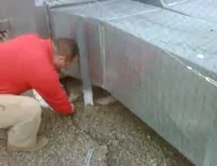 How to Get Rid of Birds
