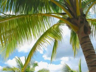 من منتدى المغربية حلقة لالة مولاتي وصفات يوم 23/05/2012