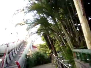 Asian man tortures his dog for fun!