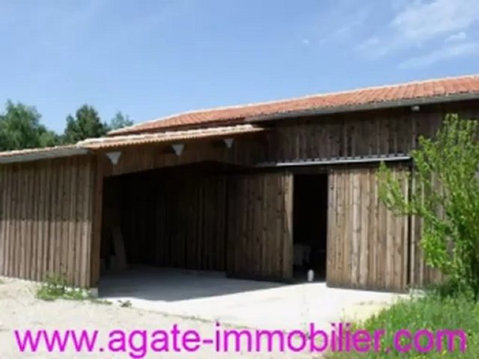 GIRONDINE AVEC SECHOIR A TABAC A VENDRE PROCHE LANGON 33210 GIRONDE