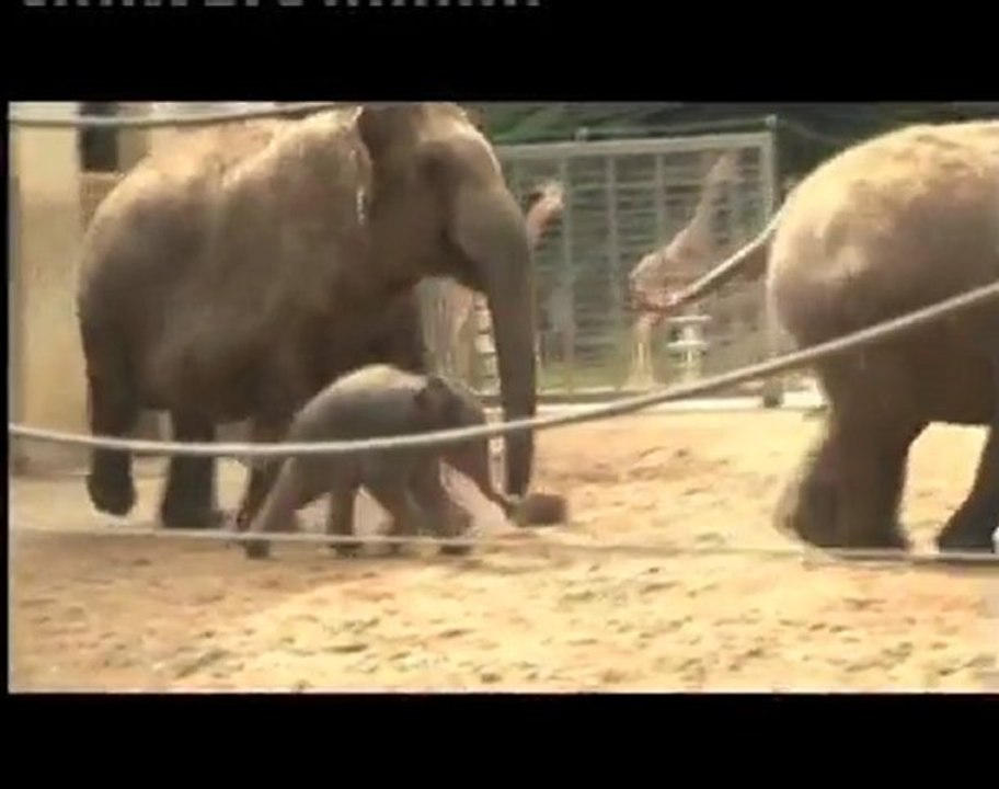 Kai-Mook is geboren / est née