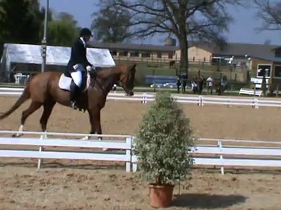 Allee Vivaldi concours Jeunes Cheveux Dressage Laval 2012