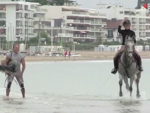 JOBE-Store 360 Wakeboard - Cassouille Is Hot