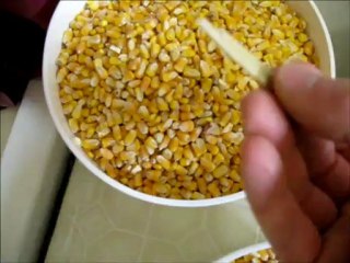 Animal-Feed-Grain-For-Long-Term-Survival-Storage