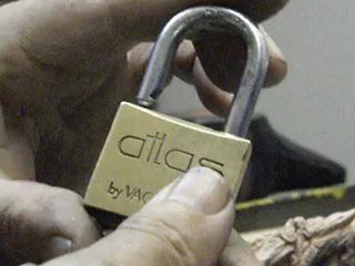 NE RIEZ PAS ! Ils sont TOUS pareils !!