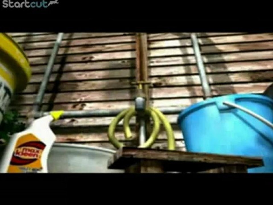 The frog 3d animation