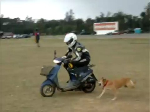 Architects Builders and 50cc SCOOTER FUN - C.D. 7