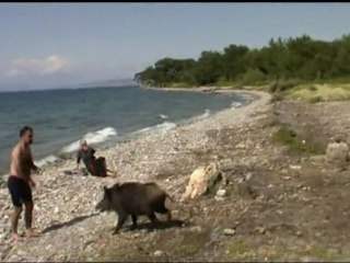Doğal Yaşam İçinde Her Canlıya Hayat Hakkı Tanınan parklar