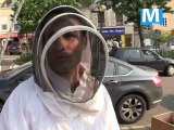 Un essaim d'abeilles place de l'Eperon !