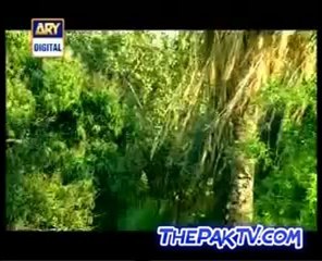 Mehmoodabad Ki Malkain By Ary Digital Episode 245-Prt 1-2