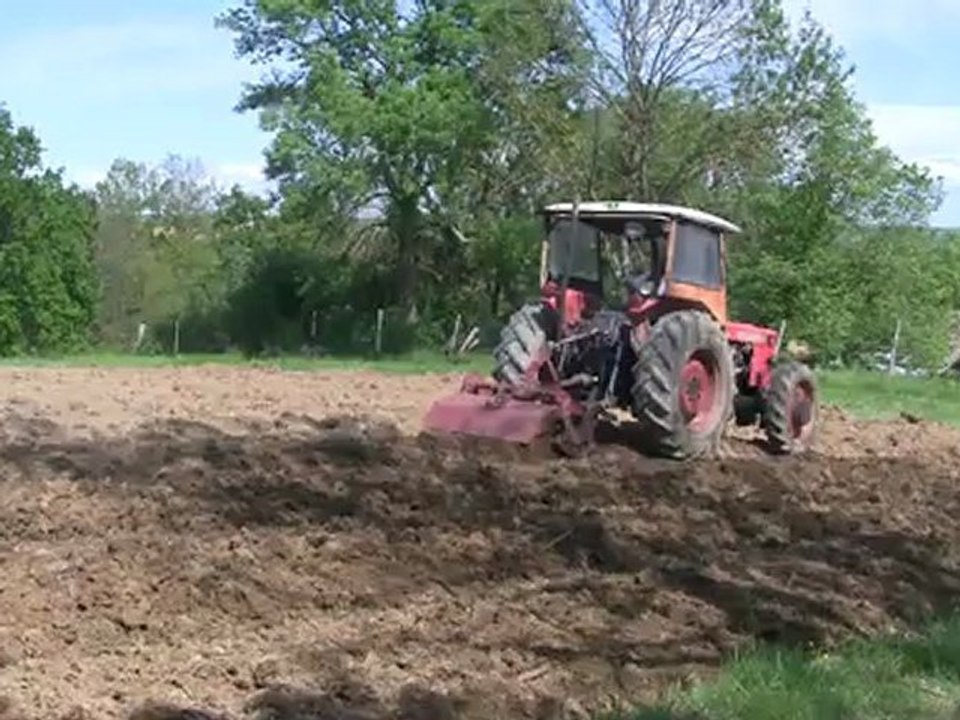 plantation des patates 2