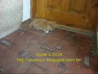 Veja como é duro largar o cigarro