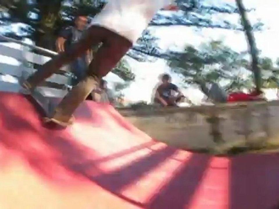 Emanuel Costa - halfpipe skate tricks