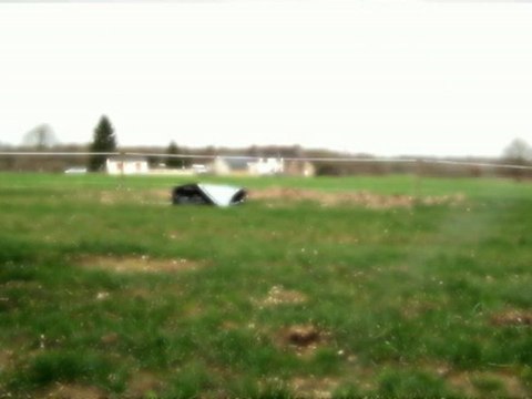 Fadjen (taureau de corrida sauvé des arènes) joue avec une bache