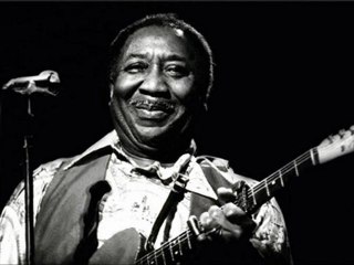Muddy Waters - Baby Please Don't Go - 05/XX/64