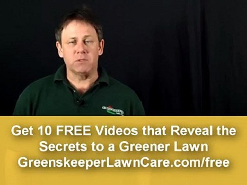 How To Have a Healthy Lawn Organically