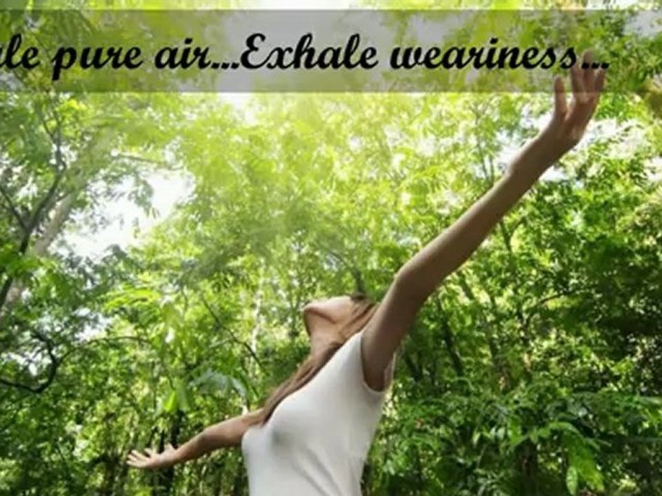 Ajmera Villows Real Estate/Properties/Developers