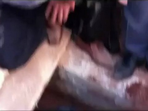 Syria فري برس حلب عندان تشييع الشهيد عمر سليمان الشغال 23 5 2012 جـ3 Aleppo