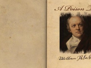 “A Poison Tree” by William Blake (Poetry Reading)