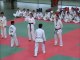 demo taekwondo Printemps des arts martiaux