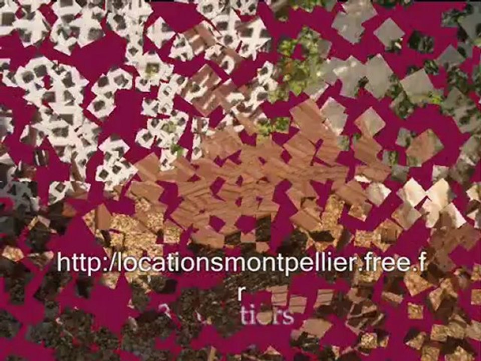 locations de chambres, colocations et studios meublés dans MONTPELLIER proche facs nord, Cévennes, Boutonnet et Hauts de Massane