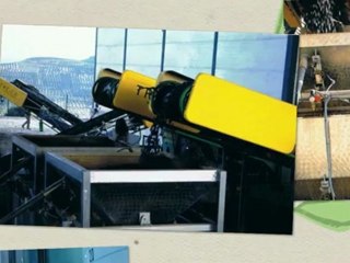 Aceite de Oliva Virgen Extra de Rus