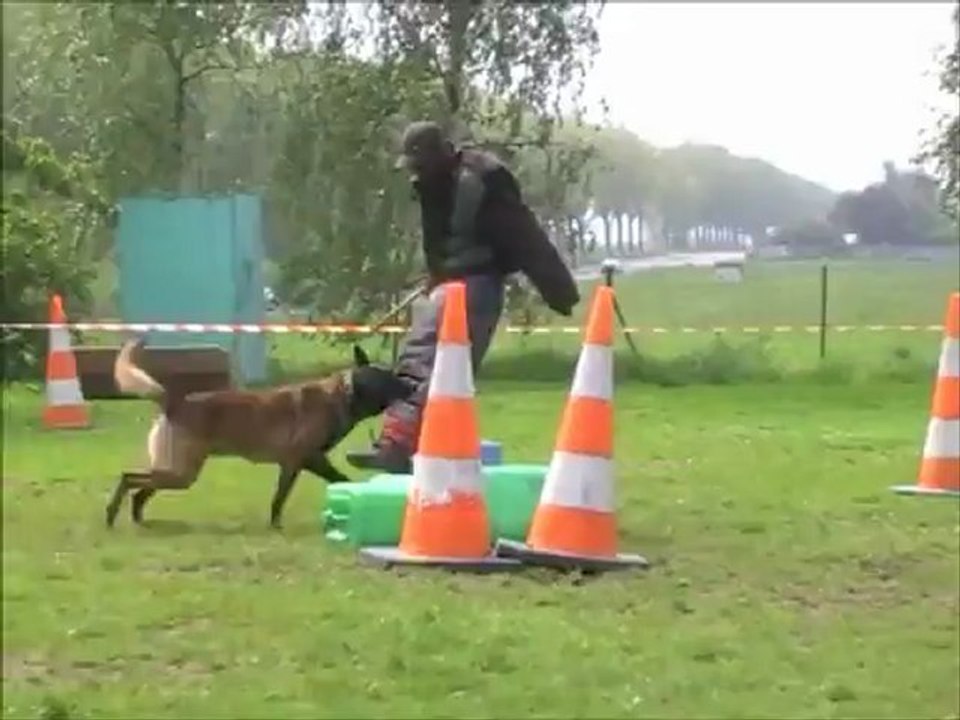 Dacoït du Dragon Rouge de Jupiter le 23.05.2012