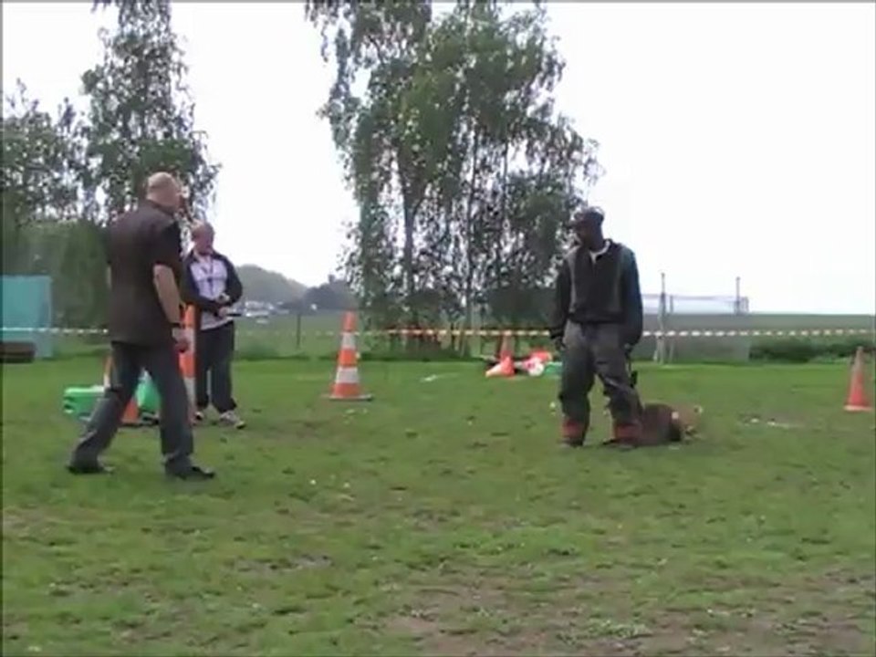 Dacoït du Dragon Rouge de Jupiter le 23.05.2012