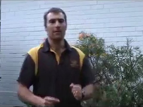 Personal Training|Fitness and Weight Loss Programs