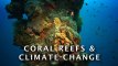 Coral Reefs & Climate Change (Short Version)