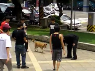 Too Old To DANCE?  Rave Biker