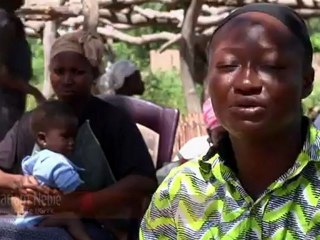 L'or vert des africaines - Karité delapointe