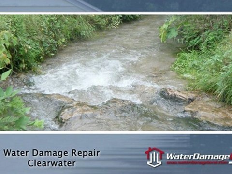 Clearwater Water Damage Repair ~~ Carpet Cleaning Available