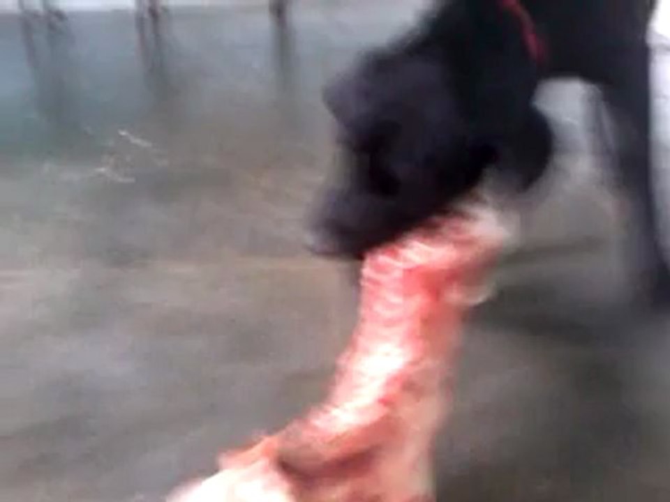 video-2012-05-24-11-45-10