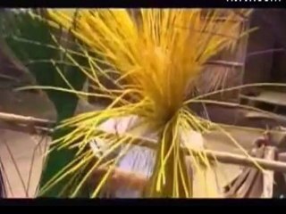 Film4vn.us-Dongque-01_chunk_1