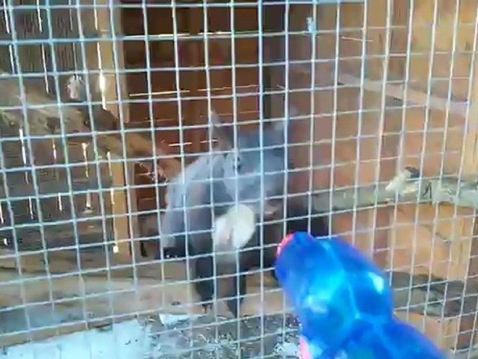 Vidéo0164
