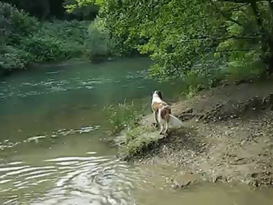 DSCN5384