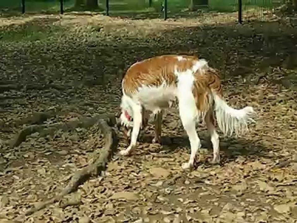 DSCN5393