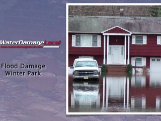 Winter Park Flood Damage - Mold Extraction