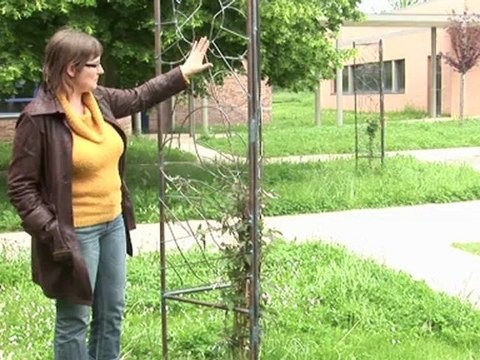 Atelier Vidéo - Ecolycée Le Champ de Claye - Claye Souilly