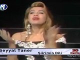 Seyyal Taner - Şiirimin Dili ( 1991 )