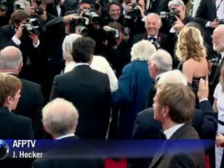 Cannes: Nicole Kidman illumine le tapis rouge de "The Paperboy"