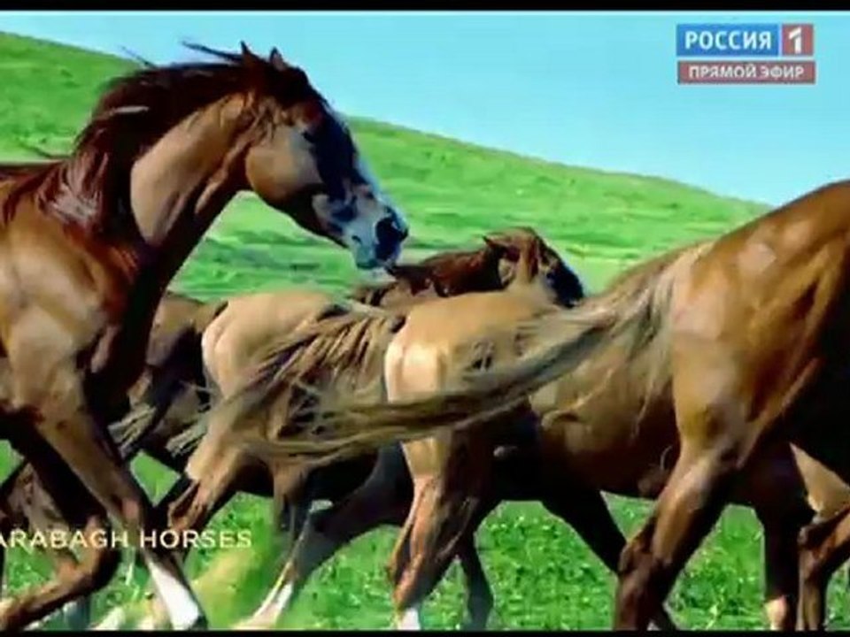 Евровидение 2012. Второй полуфинал. Россия 1 (Eurovision 2012, Semi-Final 2) 111