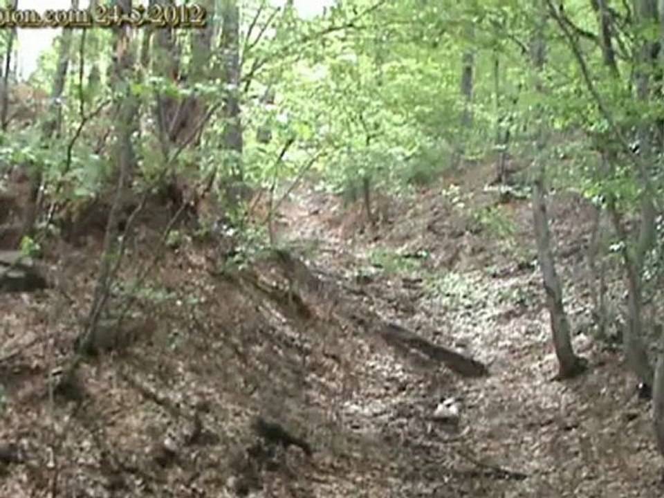 Tovoion News Channel ΔΙΑΜΑΡΤΥΡΙΑ ΚΑΤΟΙΚΩΝ ΓΙΑ ΥΠΕΡΒΟΛΙΚΗ ΥΛΟΤΟΜΗΣΗ ΣΤΗΝ ΠΕΡΙΟΧΗ ΤΟΥ ΒΟΪΟΥ