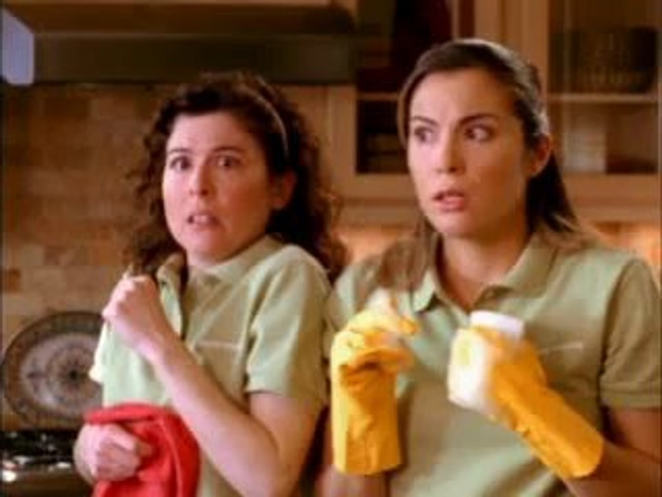 Cleaning Service Mississauga Port Credit Merry Maids